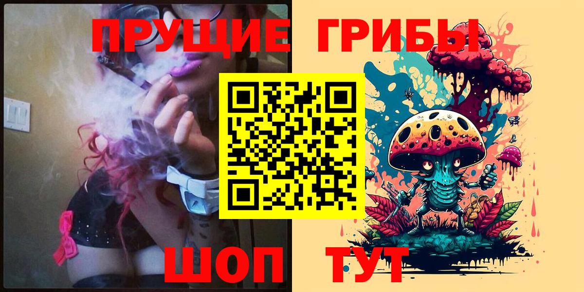 Псилоцибиновые грибы Psilocybine cubensis Пугачёв