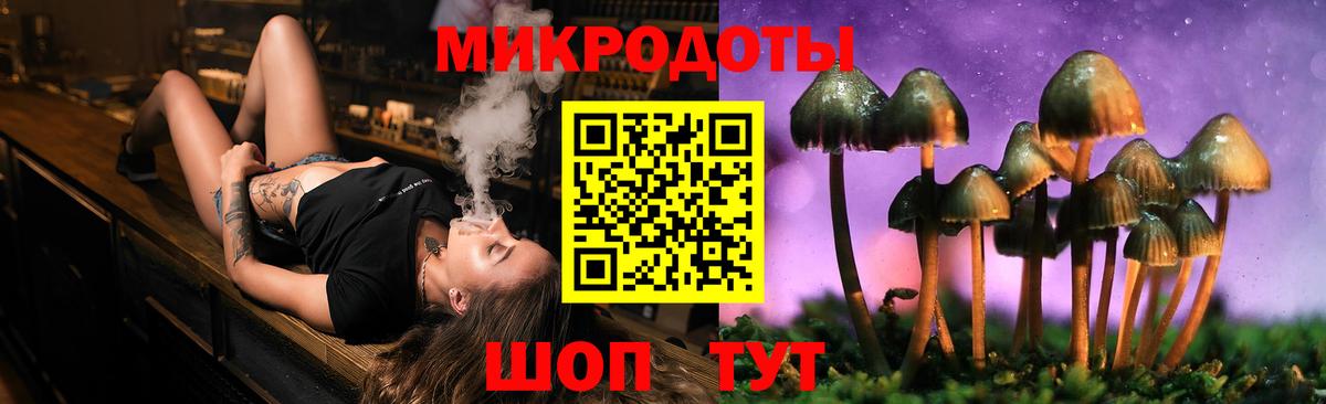 Пугачёв  Галлюциногенные грибы Psilocybe  Вход с VPN 